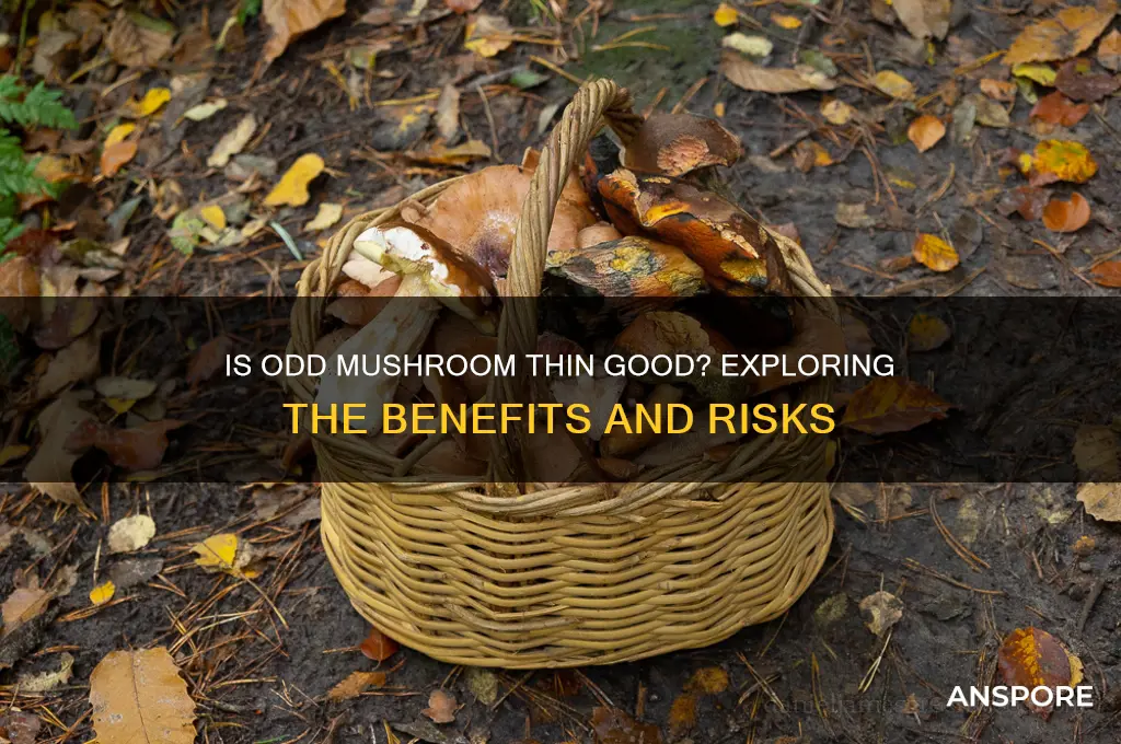 is odd mushroom thin good