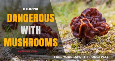 Olanzapine and Mushrooms: A Dangerous Mix?