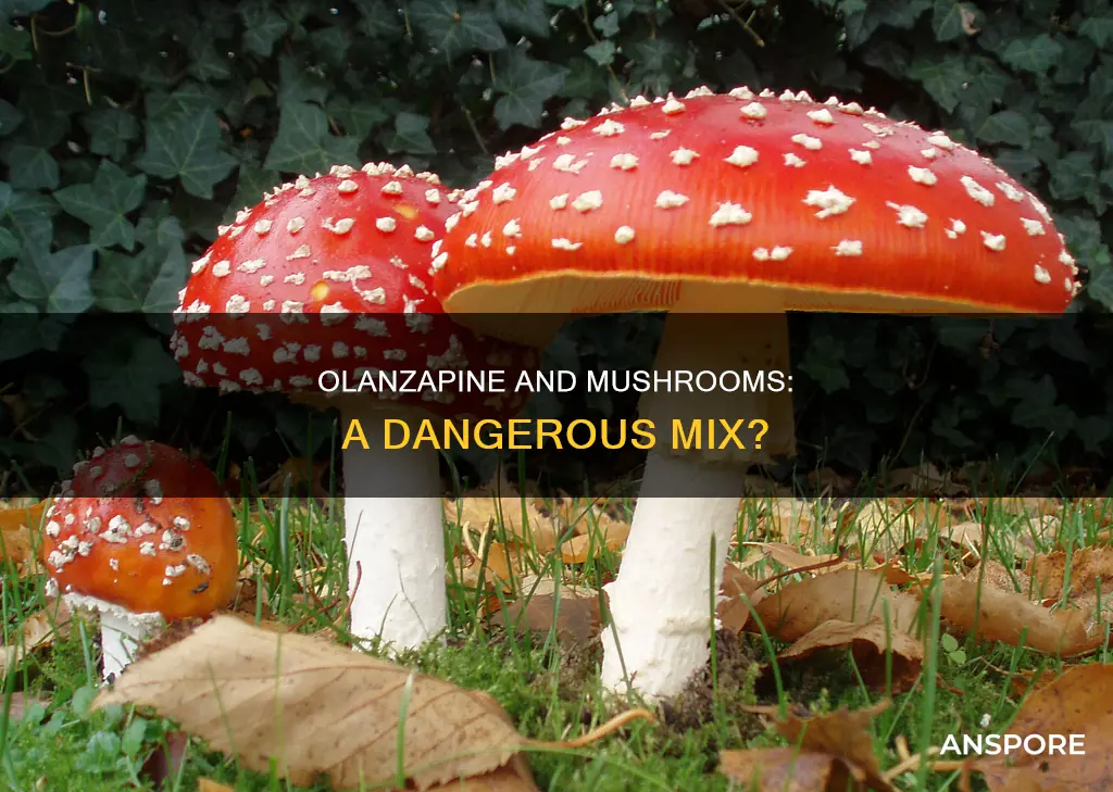 is olanzipine dangerous with mushrooms