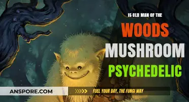 Is Old Man of the Woods Mushroom Psychedelic? Unveiling the Truth