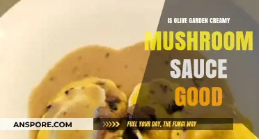 Olive Garden's Creamy Mushroom Sauce: A Tasty Delight or Miss?