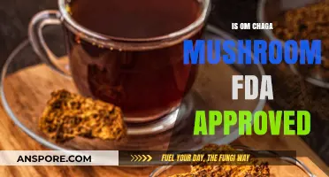 Is Om Chaga Mushroom FDA Approved? Facts and Insights Revealed