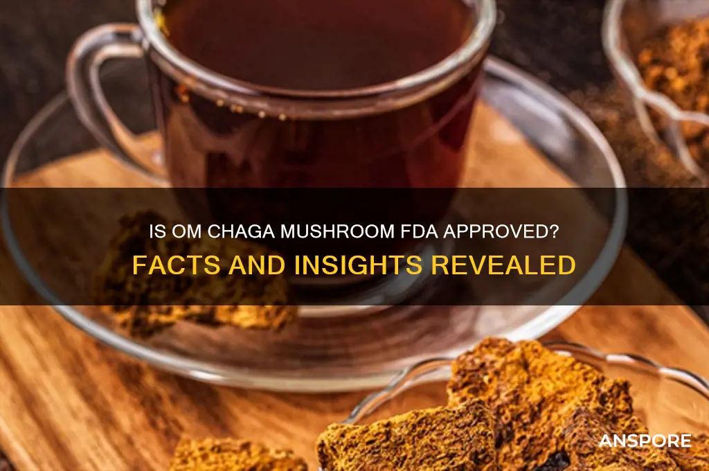 is om chaga mushroom fda approved