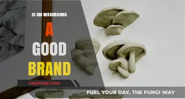 Is Om Mushrooms a Good Brand? A Comprehensive Review and Analysis