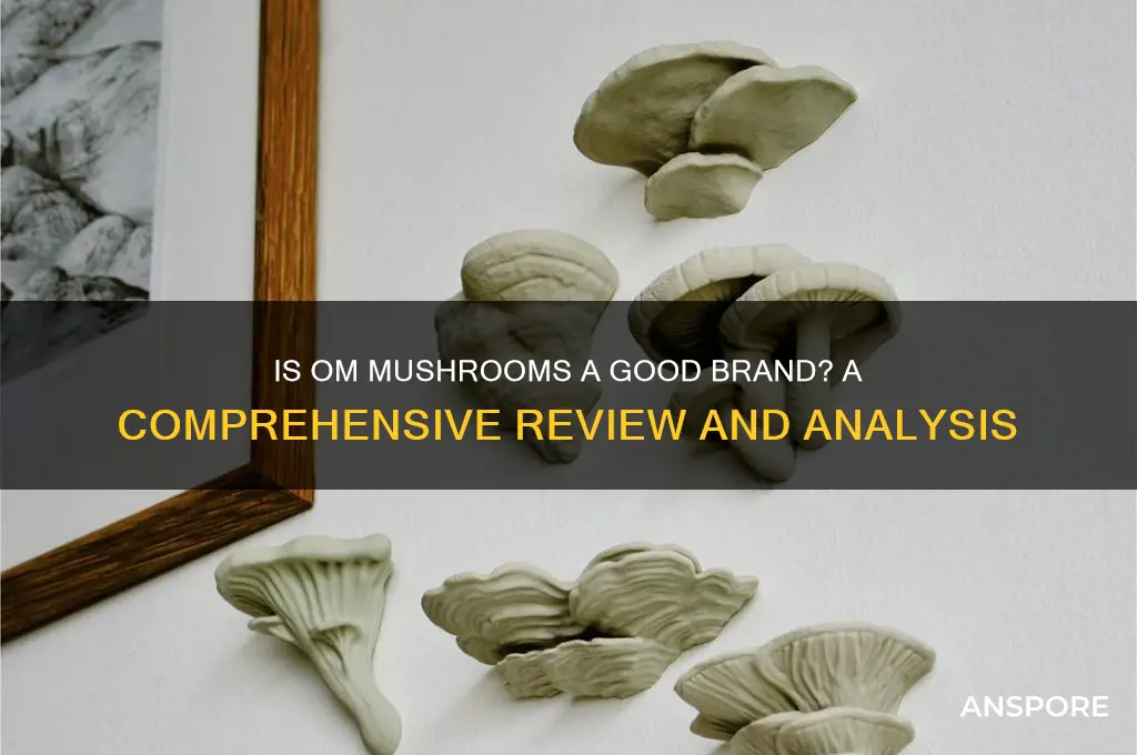 is om mushrooms a good brand