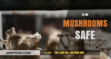 OM Mushrooms: Safe Superfood?