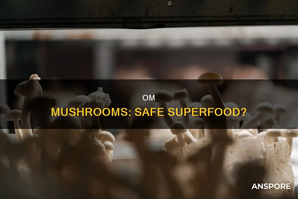 is om mushrooms safe