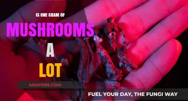 Is One Gram of Mushrooms a Lot? Understanding Dosage and Effects