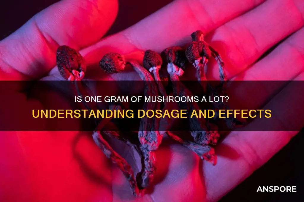 is one gram of mushrooms a lot