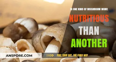Mushroom Nutrition Showdown: Comparing Varieties for Optimal Health Benefits
