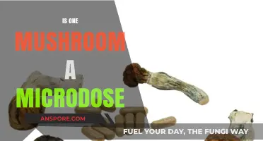 A Single Mushroom: Microdose or Not?