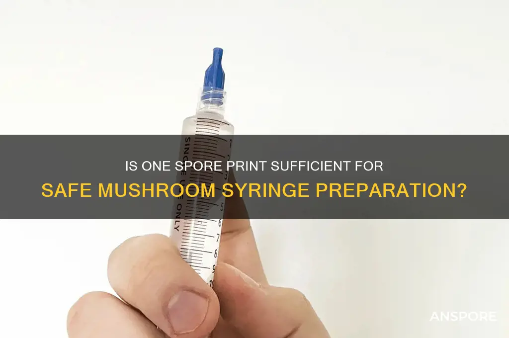 is one spor print enough to make suringe