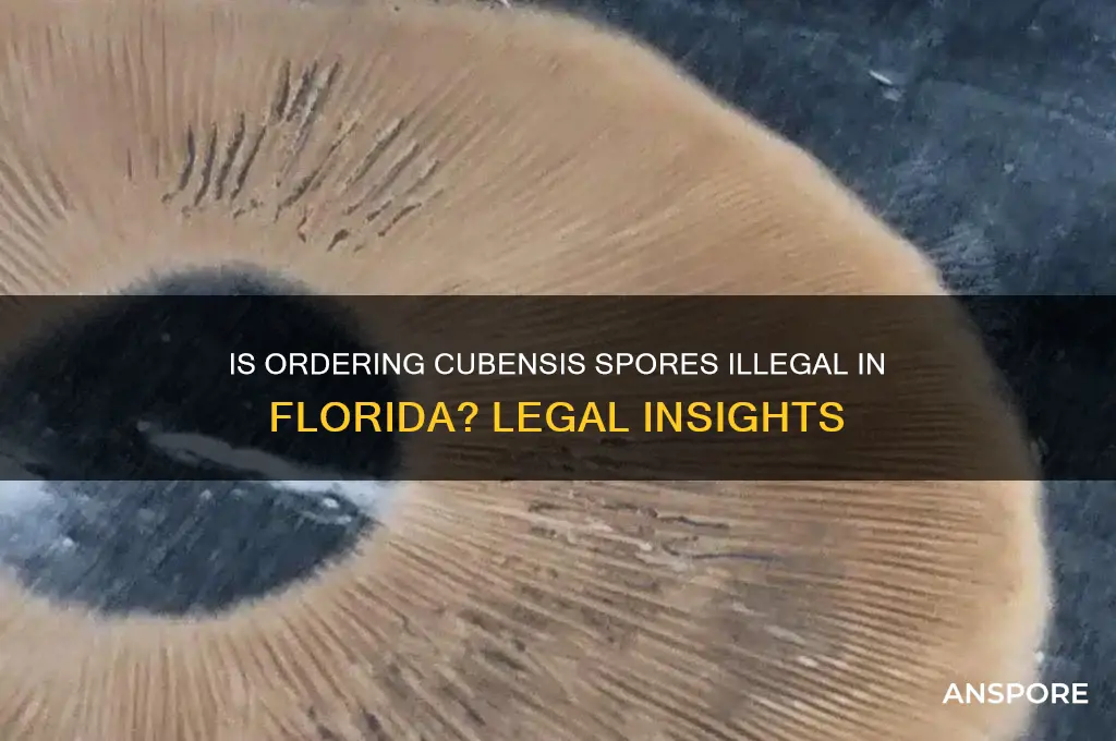 is ordering cubensis spores illegal in florida
