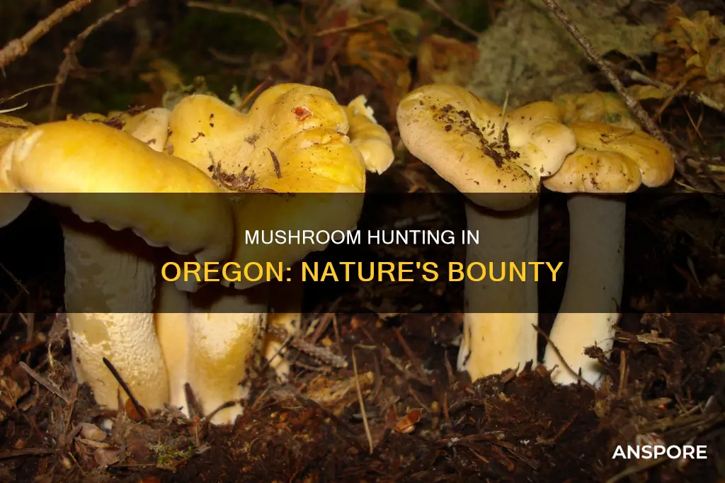 is oregon mushroom state