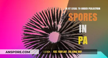 Is Ordering Psilocybin Spores Legal in Pennsylvania? What You Need to Know