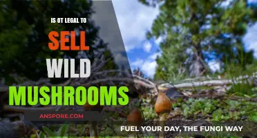 Selling Wild Mushrooms: Legalities, Risks, and Regulations Explained
