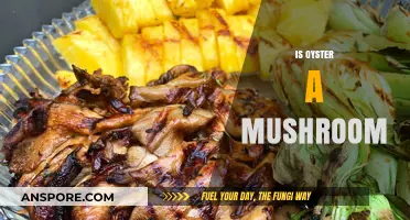 Oyster Mushrooms: What They Are and How to Identify Them