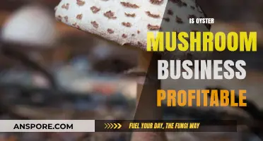 Oyster Mushroom Cultivation: A Profitable Venture?