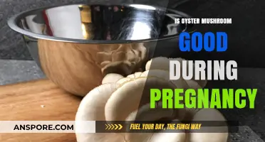 Oyster Mushrooms in Pregnancy: Benefits, Safety, and Nutritional Value