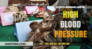 Oyster Mushrooms: A Natural Remedy for High Blood Pressure?
