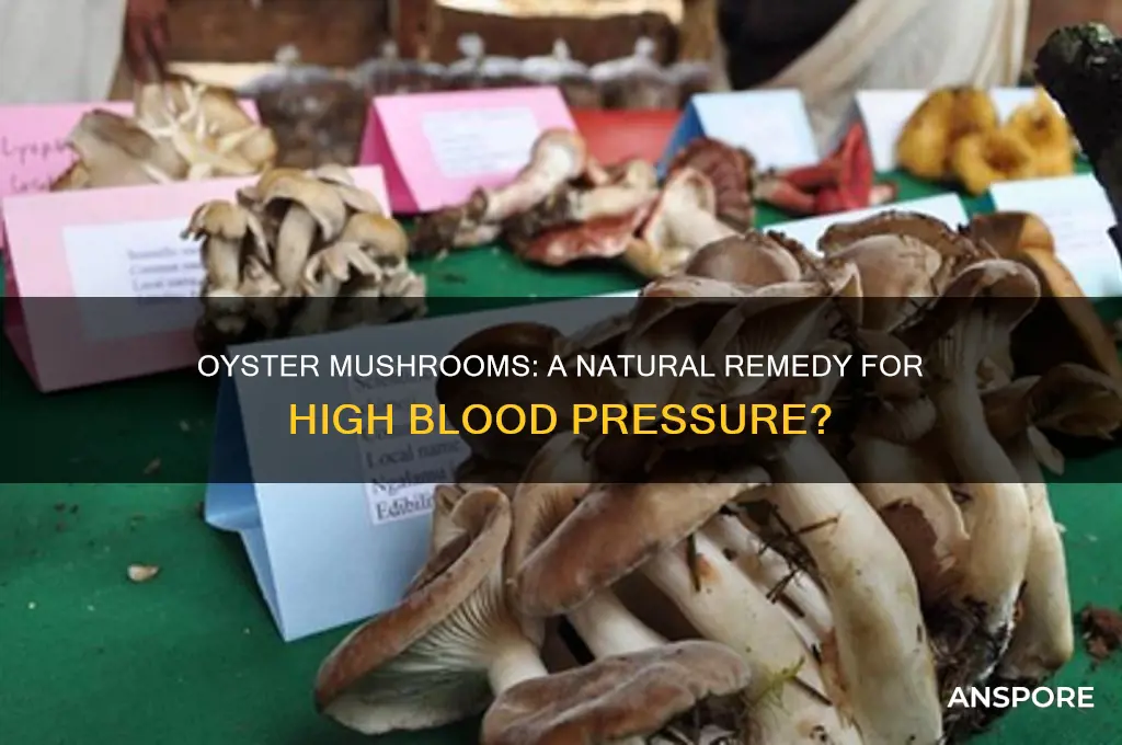 is oyster mushroom good for high blood pressure