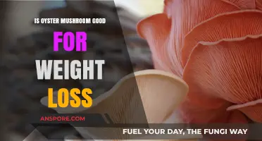 Oyster Mushrooms for Weight Loss: Benefits and Nutritional Insights