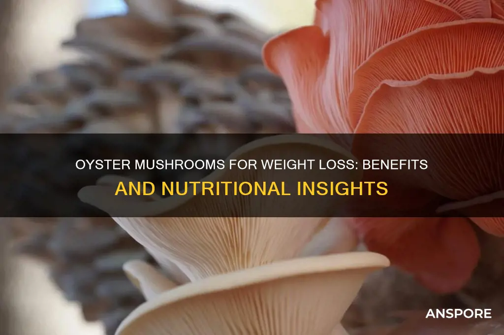is oyster mushroom good for weight loss