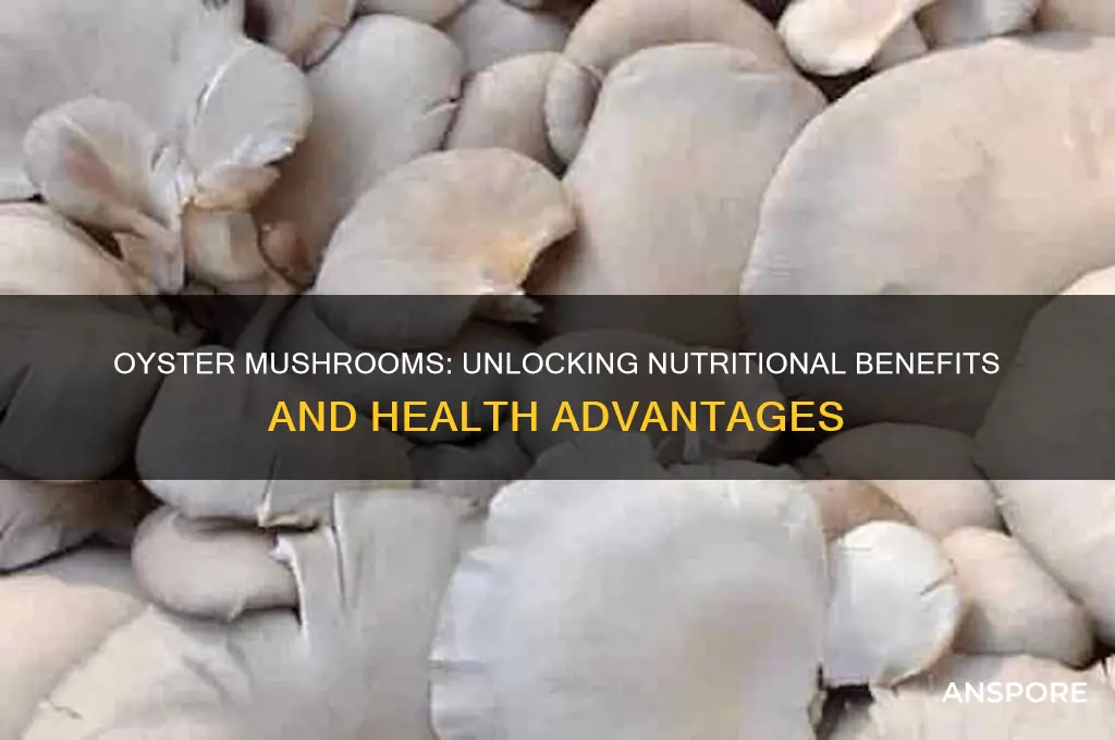 is oyster mushroom good for you