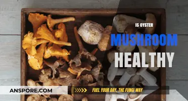 Oyster Mushrooms: Superfood or Super-Healthy?