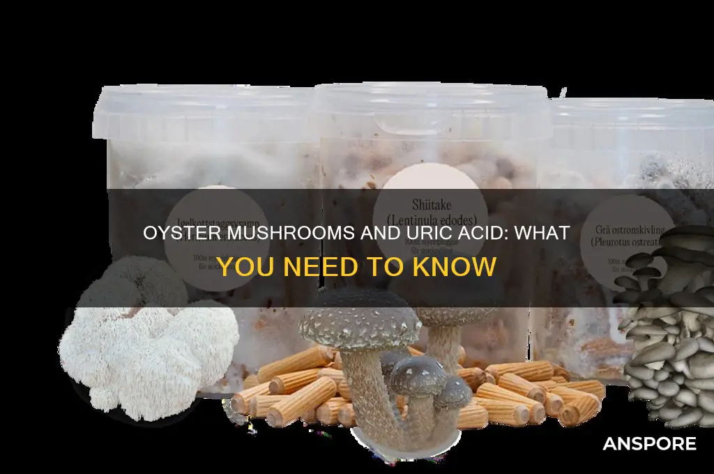is oyster mushroom high in uric acid