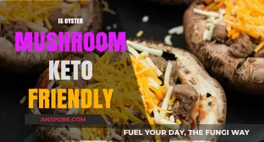 Oyster Mushrooms: Are They Keto-Friendly?
