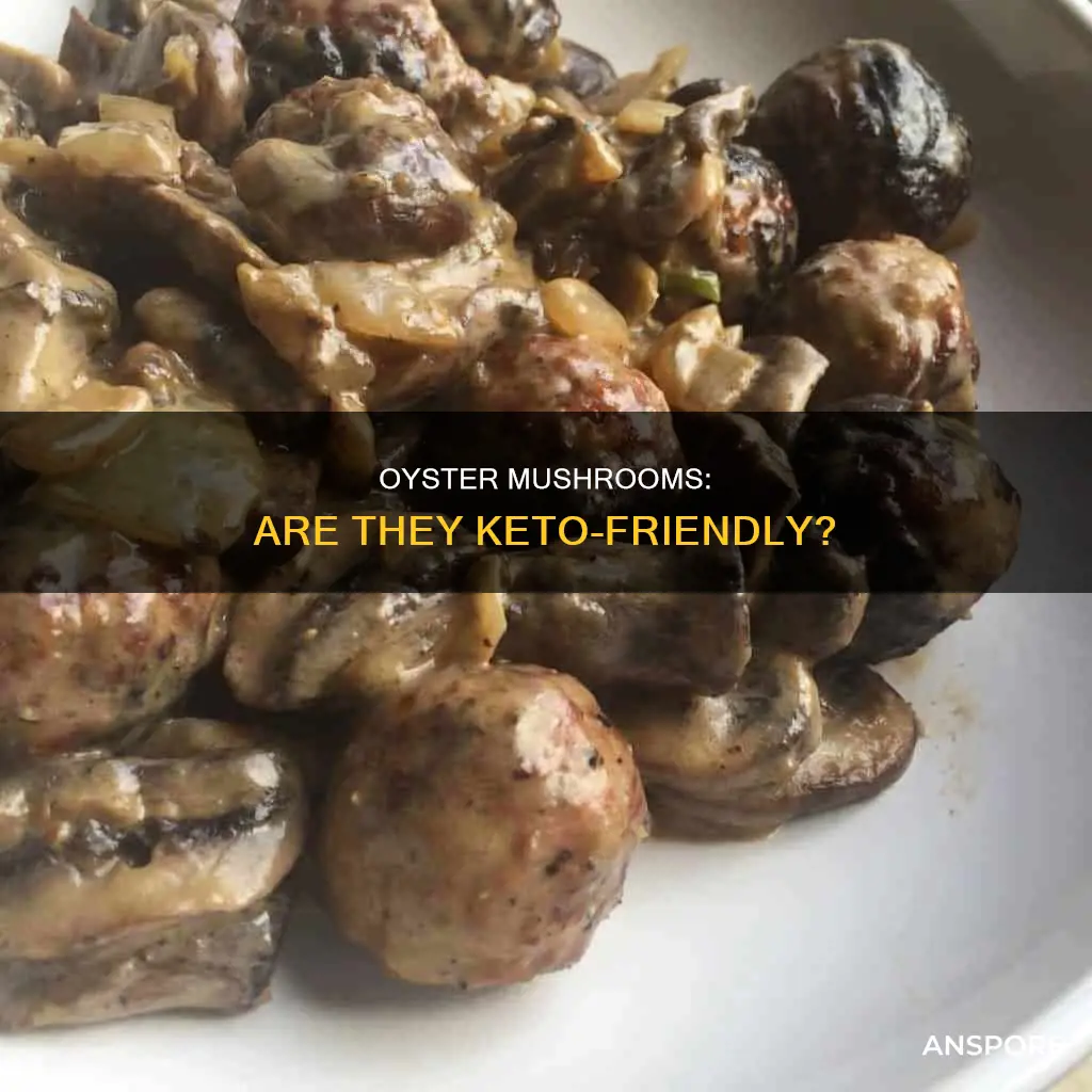 is oyster mushroom keto friendly