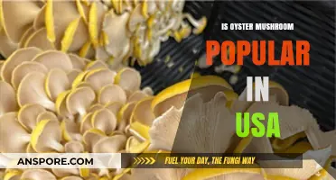 Are Oyster Mushrooms Gaining Popularity in the USA?