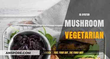 Mushroom Mystery: Are Oysters for Vegetarians?