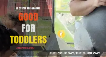 Are Oyster Mushrooms a Healthy Toddler Food Choice?