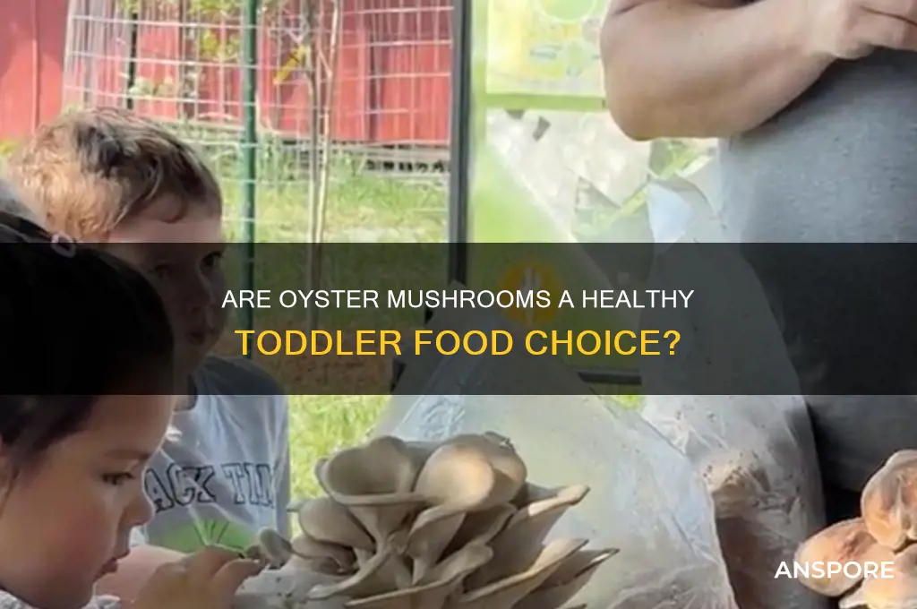 is oyster mushrooms good for toddlers