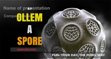 Is Pollem a Spore? Unraveling the Mystery and Facts