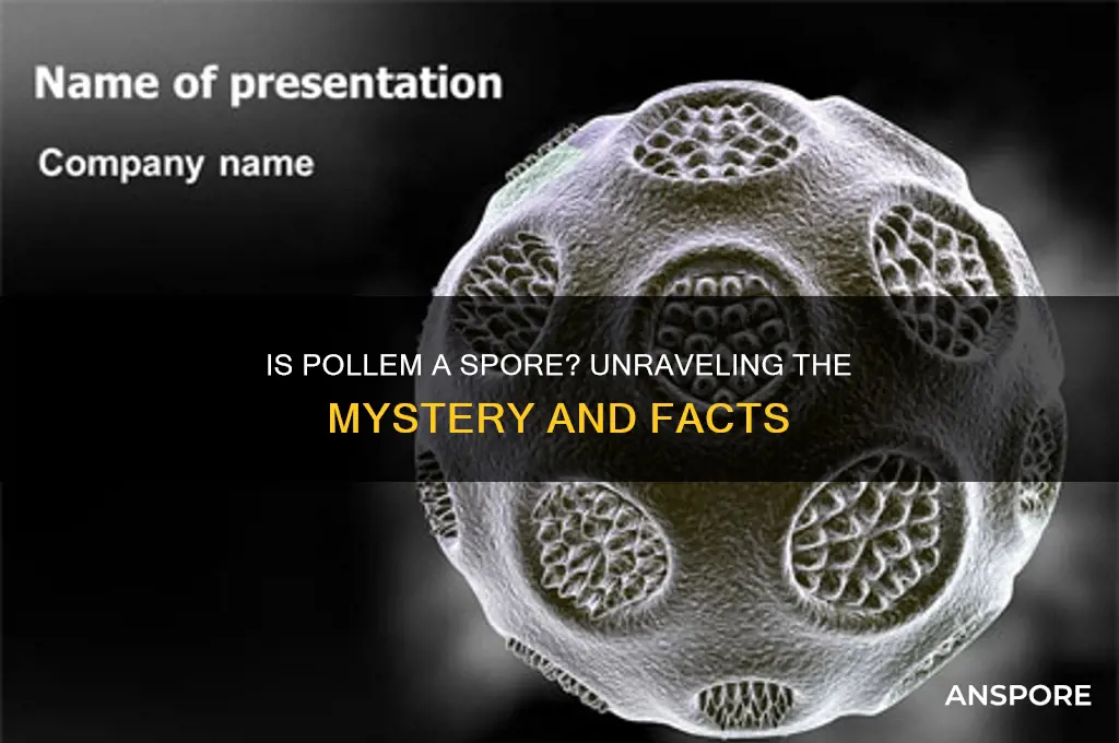 is p ollem a spore
