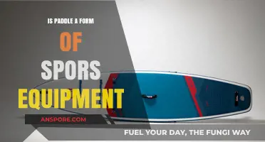 Is a Paddle Considered Sports Equipment? Exploring Its Role and Uses