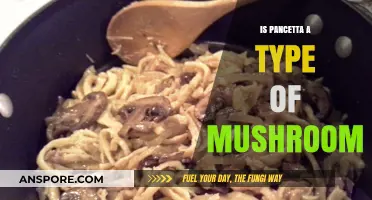 Pancetta vs. Mushrooms: Unraveling the Culinary Confusion