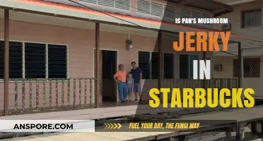 Is Pan's Mushroom Jerky Available at Starbucks? Find Out Here