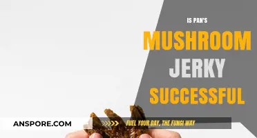 Is Pan's Mushroom Jerky a Snack Industry Success Story?