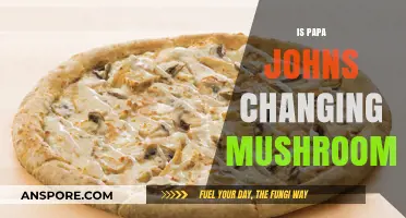 Papa John's New Mushroom Move: What's Changing?