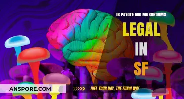 Are Peyote and Mushrooms Legal in San Francisco? A Guide