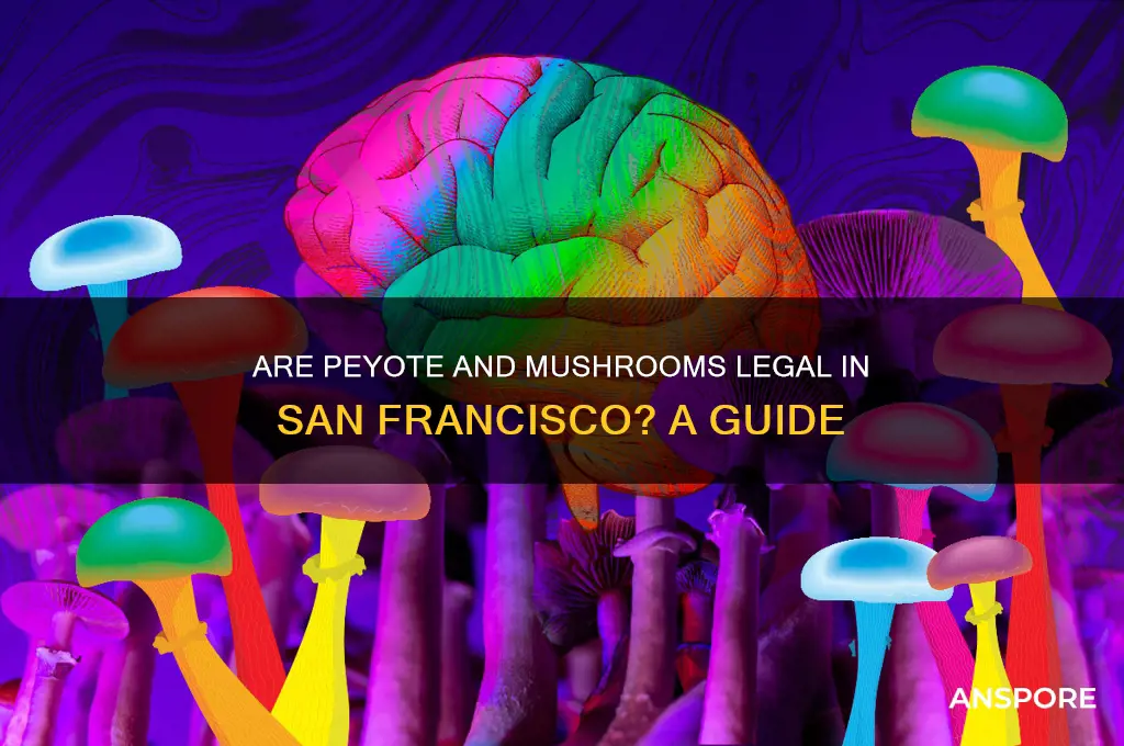 is payote and mushrooms legal in sf