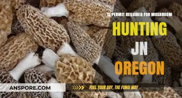 Oregon Mushroom Hunting: Do You Need a Permit to Forage?