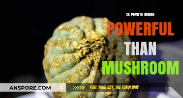 Peyote vs. Mushrooms: Comparing the Potency of Psychedelic Experiences