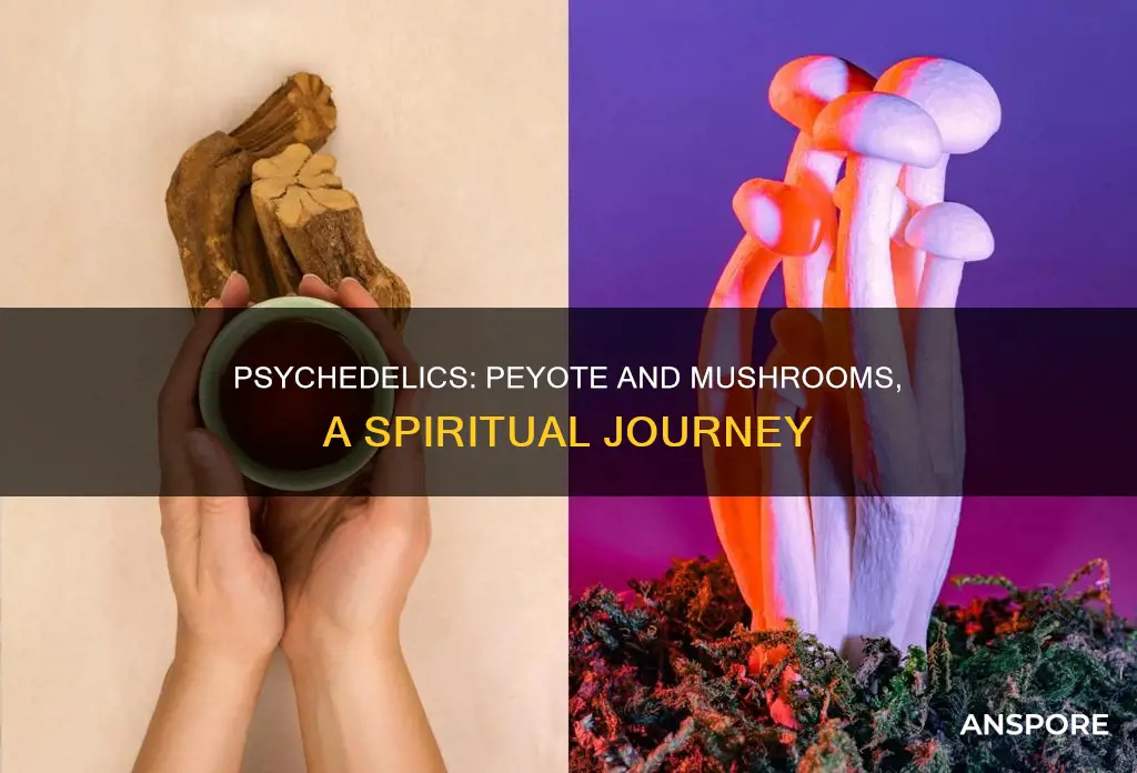is peyote mushrooms