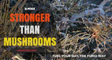 Psychedelics: Comparing Peyote and Mushroom Potency