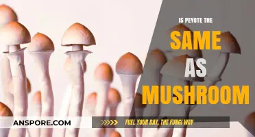 Peyote vs. Mushrooms: Unraveling the Differences in Psychedelic Experiences